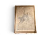drawing of a man riding a horse in a box