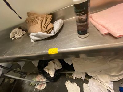 un chat allongé sur une table dans une pièce