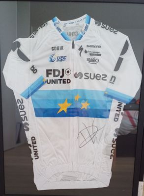 photo encadrée d'un maillot signé par l'équipe à l'occasion du Tour de France 2010