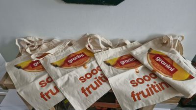 Lot de 10 sacs publicitaires Granini en coton ( état neuf)