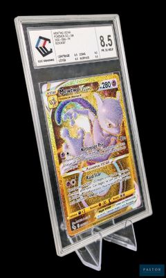 un gros plan d'une carte Pokémon exposée dans un étui transparent