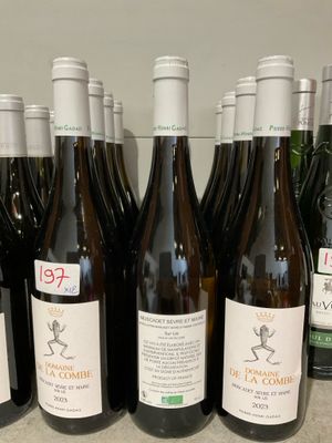plusieurs bouteilles de vin sont alignées sur un comptoir