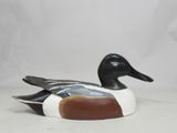 a duck that is sitting on a white surface