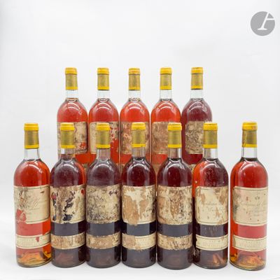 plusieurs bouteilles de vin sont alignées sur une surface blanche