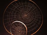 a sculpture of a spider web on a wooden base