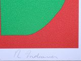 a picture of a picture of a red and green square