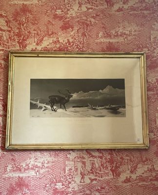 une photo d'un cheval qui court dans la neige