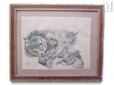 drawing of a cat laying down on its back in a wooden frame