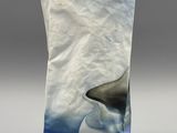 an image of a vase with a shark on it