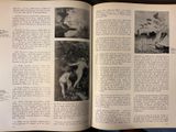 an open book with pictures of people and animals in it
