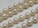 deux rangées de perles blanches sur un fond blanc