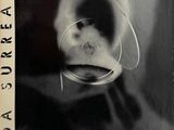 photographie en noir et blanc d'une personne tenant un verre de vin