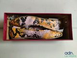 deux paires de chaussures en peau de serpent dans une boîte posée sur une table