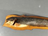 a fish that is on a wooden board on a table