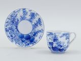 a blue and white cup and saucer with a blue and white floral design