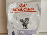 un sac de croquettes Royal Canin posé sur un plan de travail