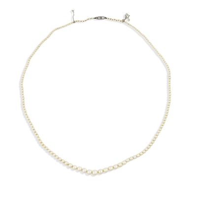 un collier de perles blanches sur fond blanc