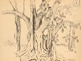 drawing of a group of people climbing up a tree in a forest