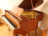 a grand piano in the corner of a living room