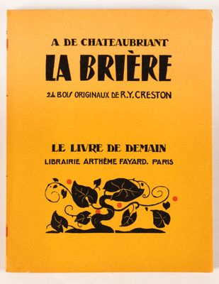 un livre jaune sur lequel figure l'image en noir et blanc d'un chat