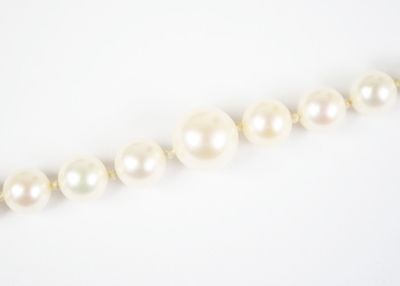 a close up of a strand of white pearls on a white surface