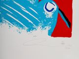 a picture of a blue bird with a red background