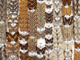 many different types of butterflies on display in a display case