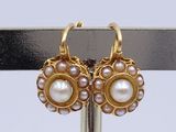 pair of pearl and gold earrings on a metal stand