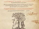 la couverture d'un livre sur laquelle figure le dessin d'un arbre