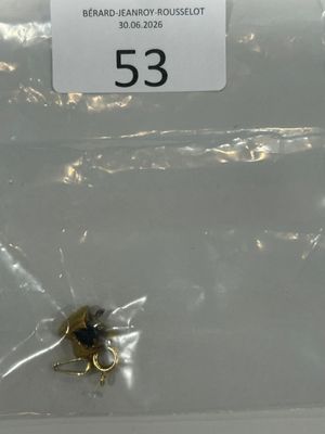 un petit insecte qui se trouve dans un sac en plastique