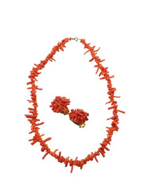 a close up of a necklace and earrings on a white background