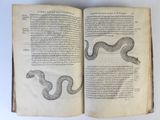 an open book with a drawing of a snake on it
