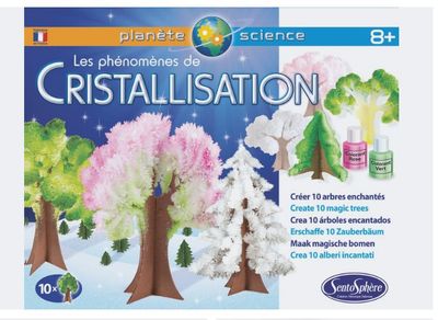 Le kit scientifique contient divers arbres fabriqués en papier.