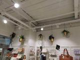 many bags and purses on display in a store