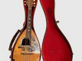 un étui rouge contenant une guitare