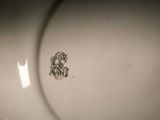 a close up of a white plate with a monogram on it
