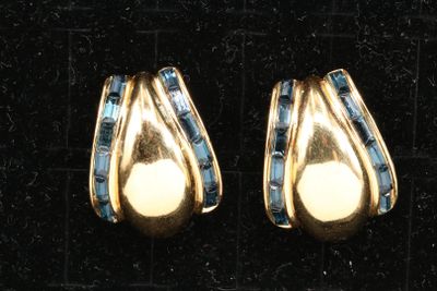 pair of gold tone earrings with blue stones on a black background