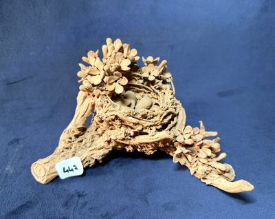 un petit oiseau perché sur une branche d'arbre