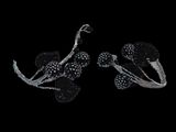 a pair of earrings that are on a black background