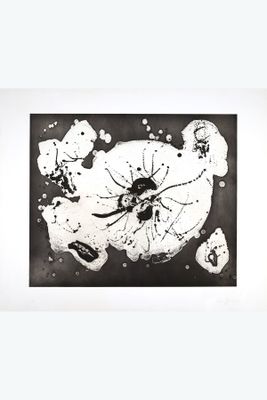 photographie en noir et blanc d'une peinture représentant une araignée sur une feuille de papier