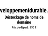 Photo 1/1 du lot