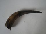 a large horn shaped object on a white surface