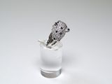 a diamond ring sitting on top of a clear glass