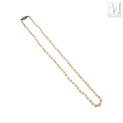 gros plan d'un collier de perles sur fond blanc