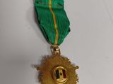 gold medal with a green ribbon and a gold star on a white surface