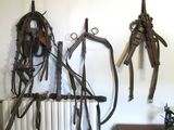 de nombreux types de brides de chevaux accrochés au mur