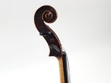 a close up of a violin on a white background