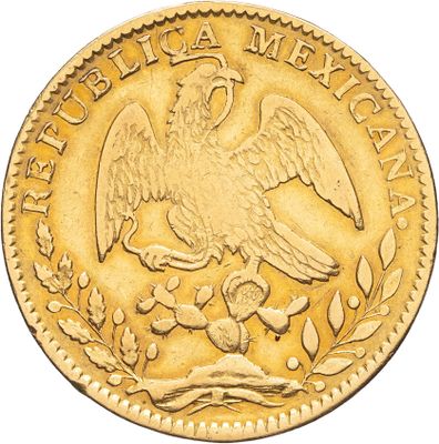 Gros plan sur une pièce d'or ornée d'un oiseau