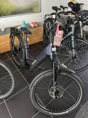 les nombreux vélos exposés dans un magasin