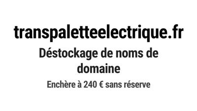 Nom de domaine transpaletteelectrique.